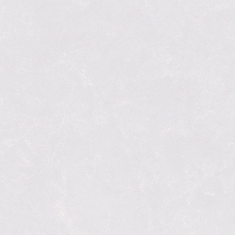 SW83019