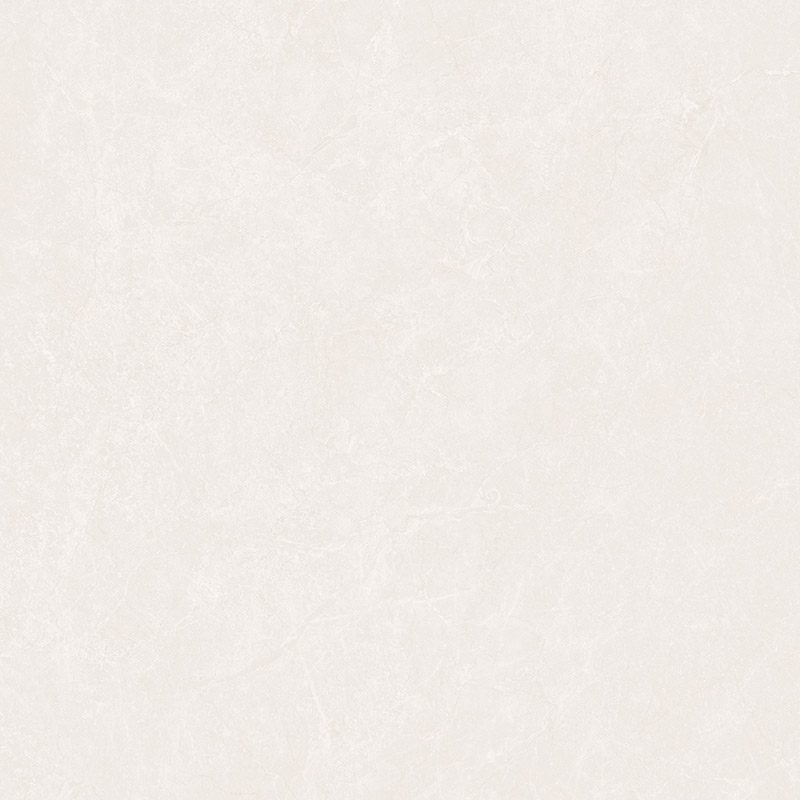 SW89D001