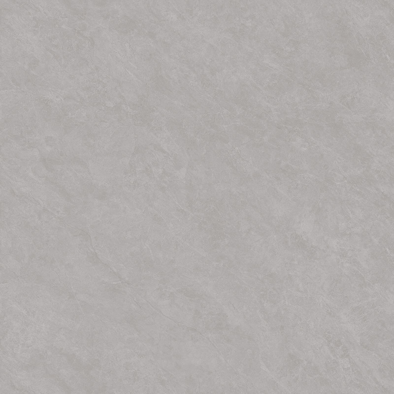 SW89D003