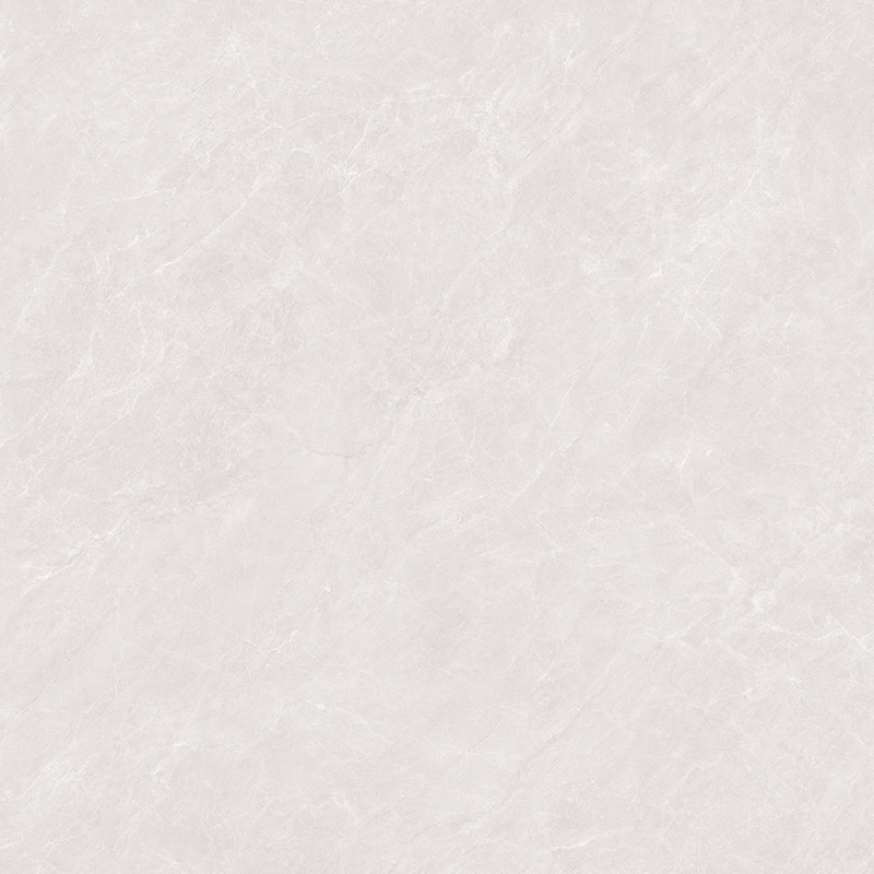 SW89D002
