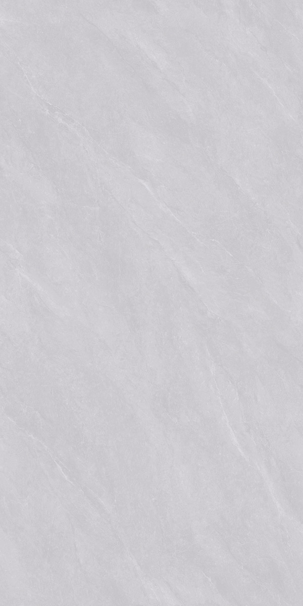 SWL662008