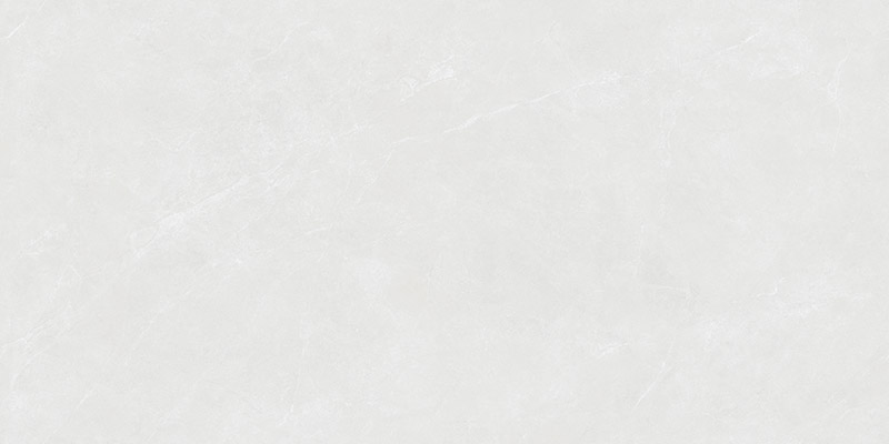 SW48D19B 